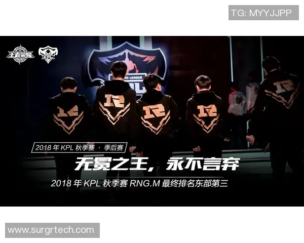 深入解析EDG在王者荣耀中的战术布局与团队协作策略