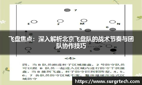 飞盘焦点：深入解析北京飞盘队的战术节奏与团队协作技巧